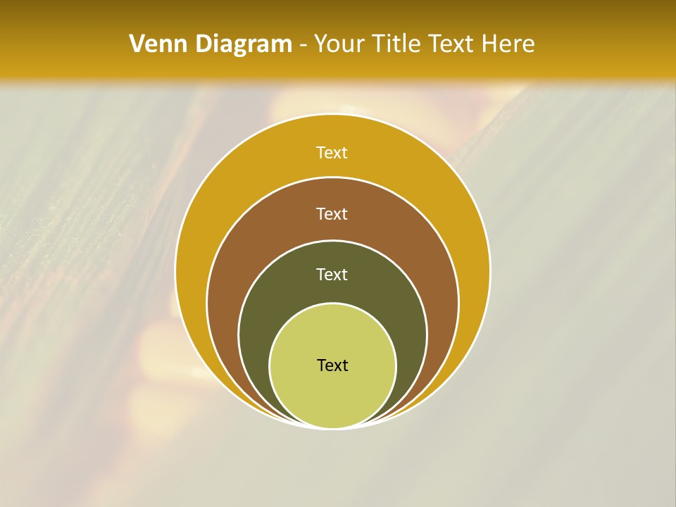 Series Closeup Silk PowerPoint Template