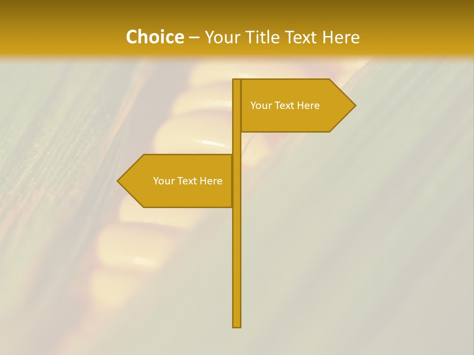 Series Closeup Silk PowerPoint Template