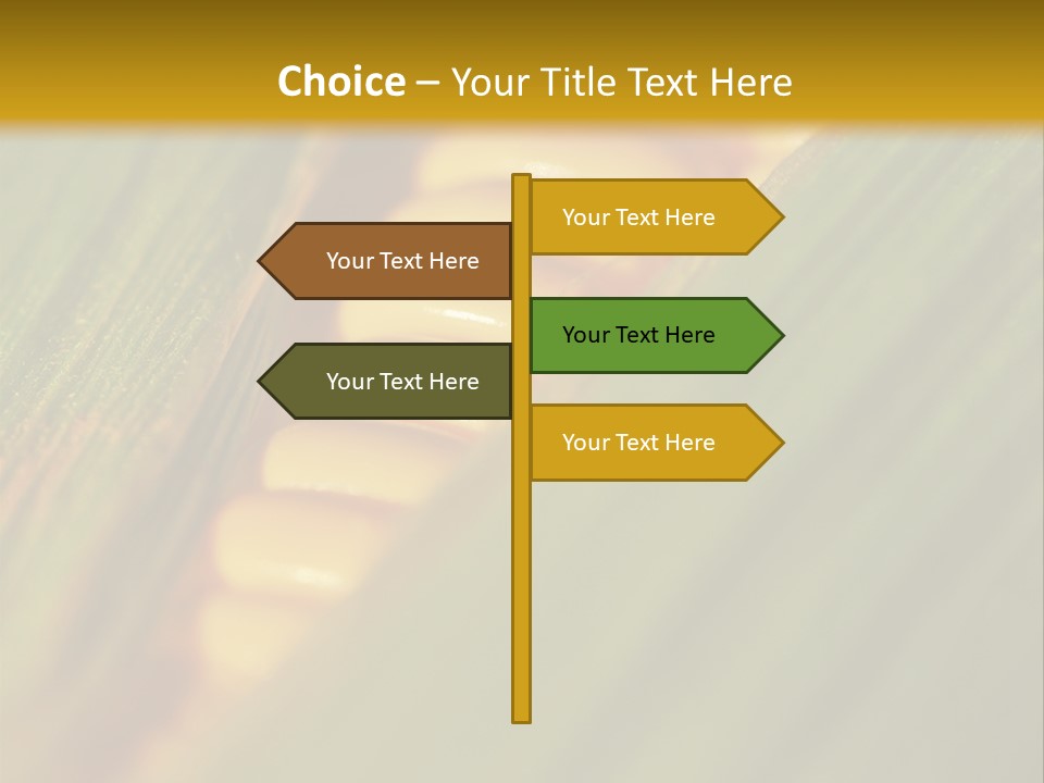 Series Closeup Silk PowerPoint Template