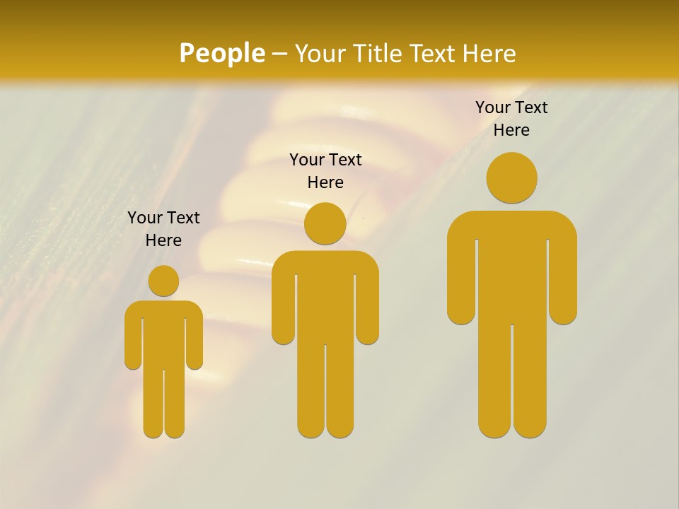 Series Closeup Silk PowerPoint Template