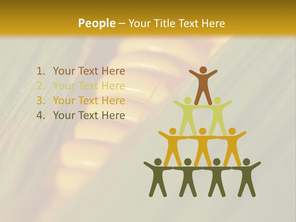 Series Closeup Silk PowerPoint Template