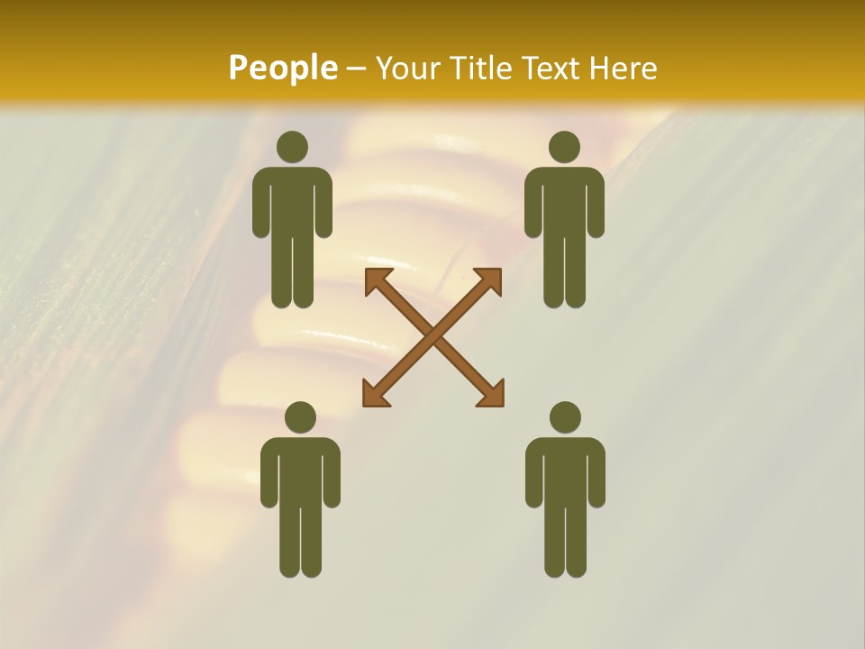 Series Closeup Silk PowerPoint Template