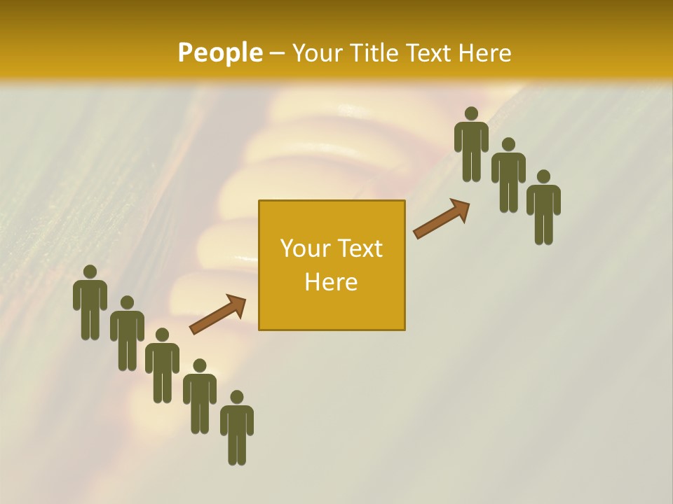 Series Closeup Silk PowerPoint Template