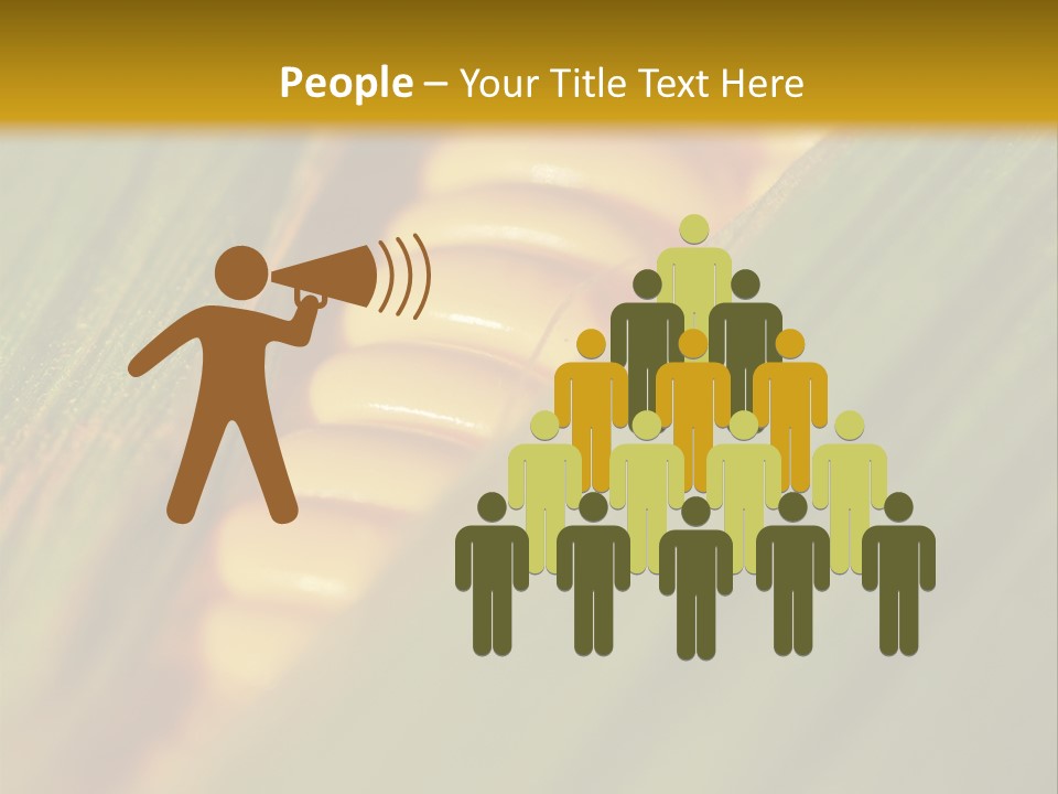 Series Closeup Silk PowerPoint Template