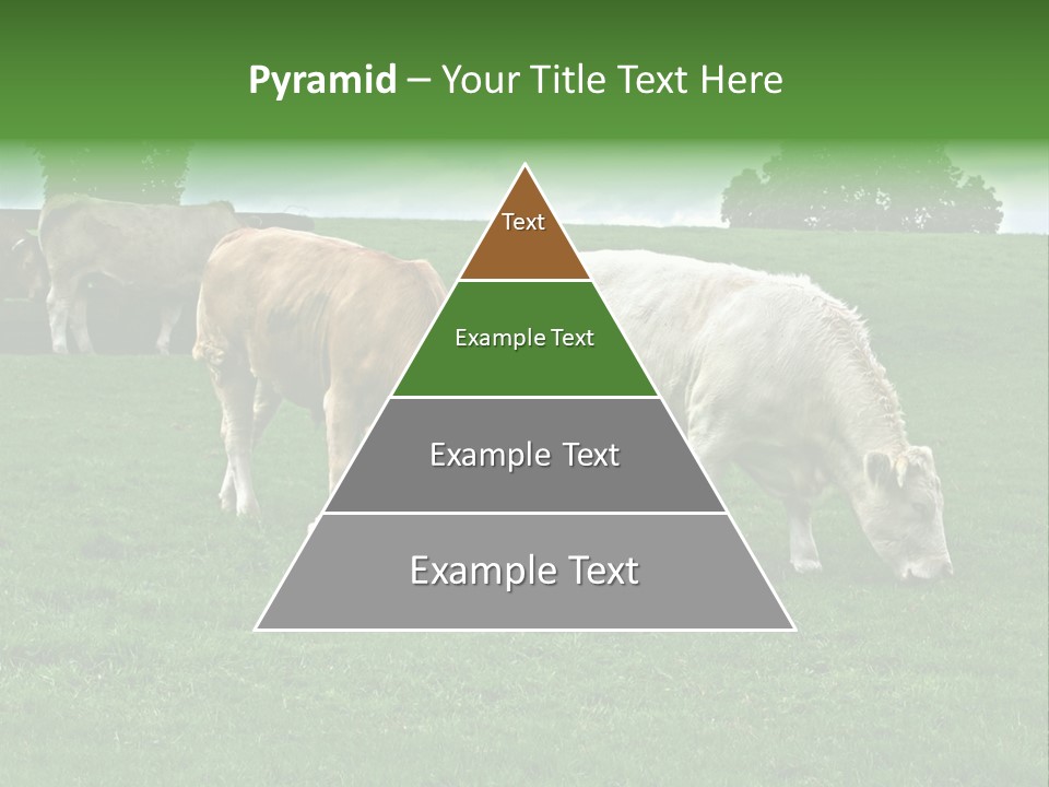 Eire Sky Hill PowerPoint Template