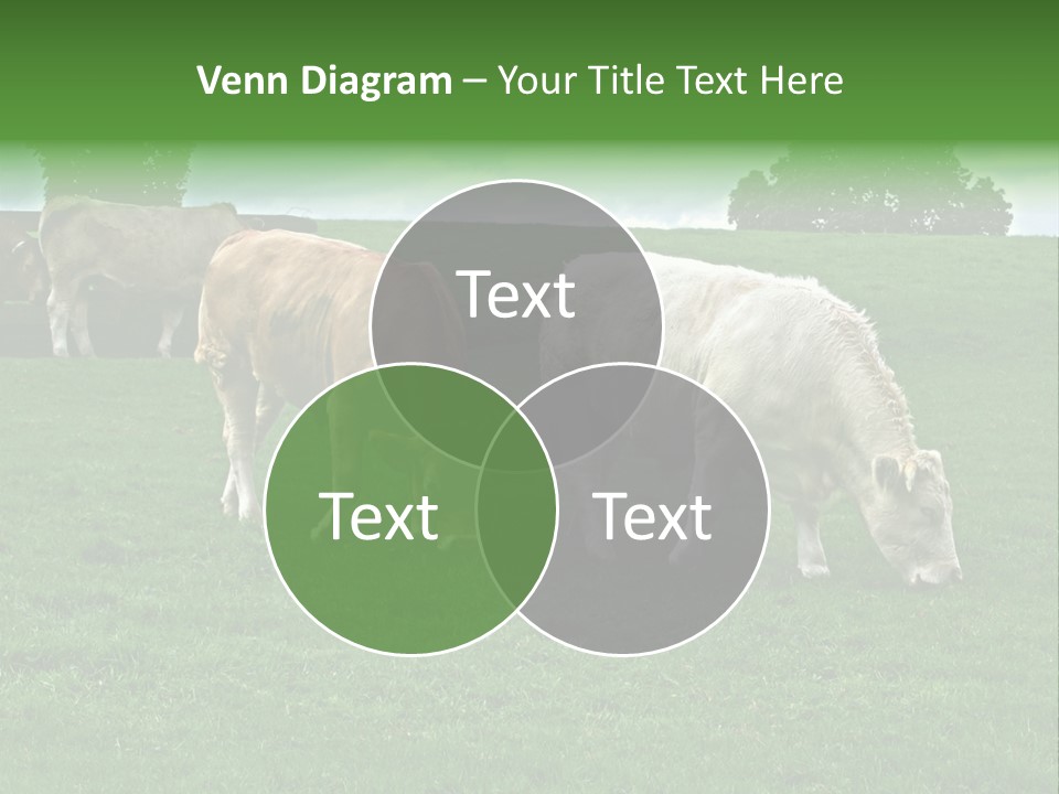 Eire Sky Hill PowerPoint Template
