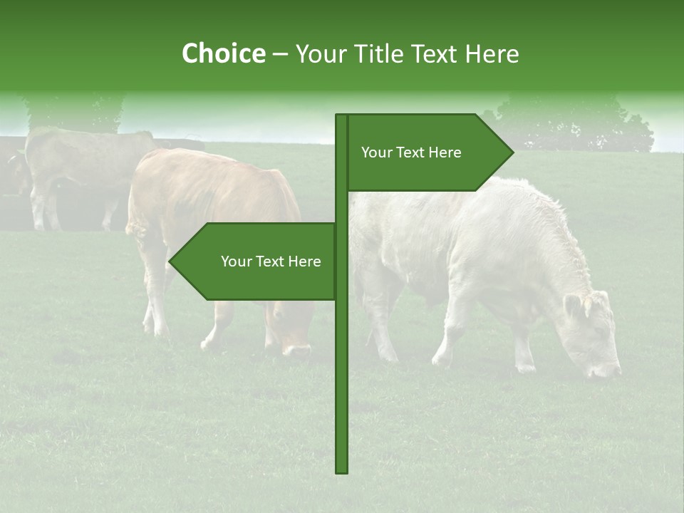 Eire Sky Hill PowerPoint Template