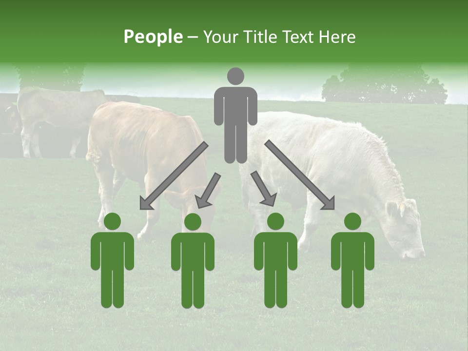 Eire Sky Hill PowerPoint Template