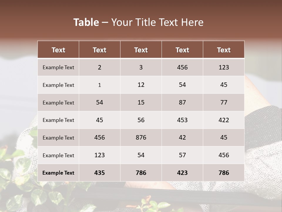 Outdoor Wrinkle Nostalgia PowerPoint Template