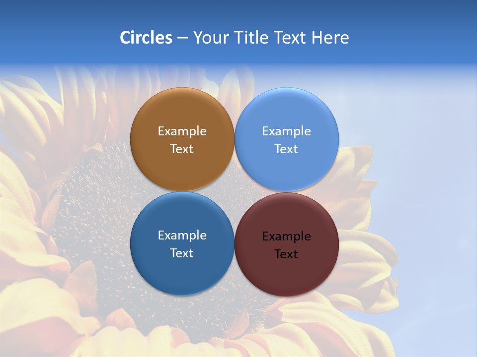 Nugget Petal Sunflower PowerPoint Template