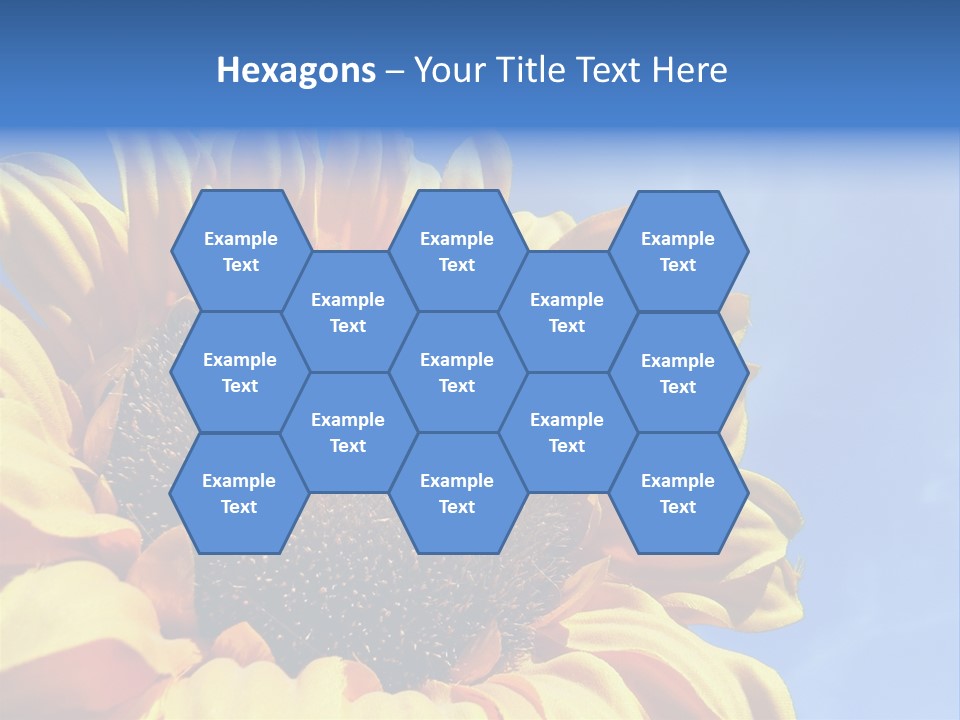 Nugget Petal Sunflower PowerPoint Template