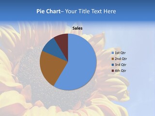 Nugget Petal Sunflower PowerPoint Template