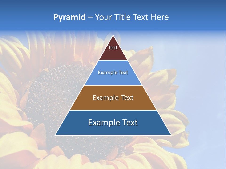 Nugget Petal Sunflower PowerPoint Template