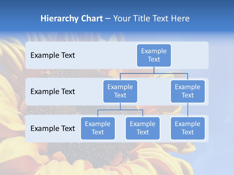 Nugget Petal Sunflower PowerPoint Template