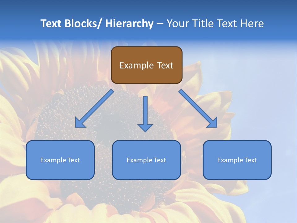 Nugget Petal Sunflower PowerPoint Template