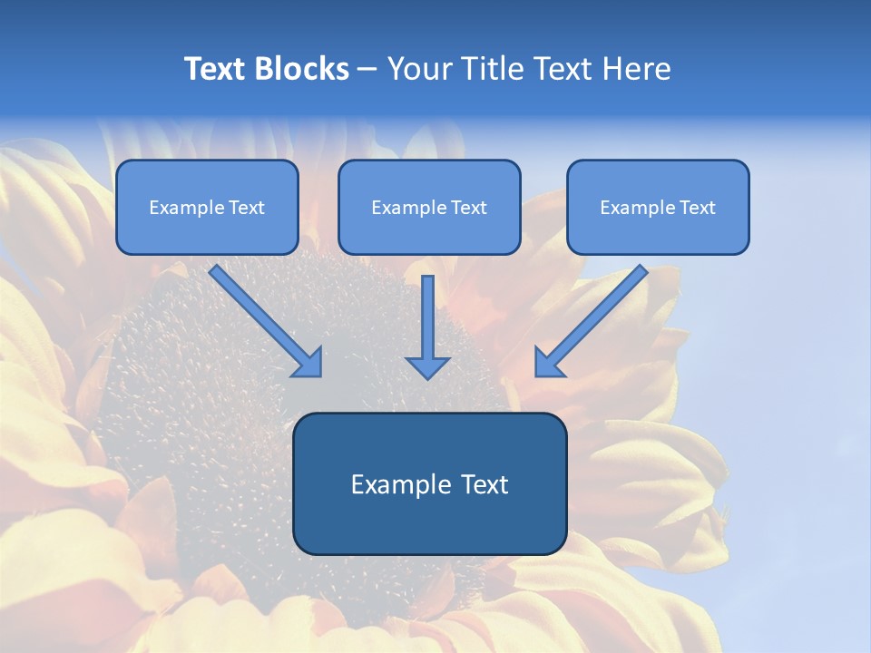 Nugget Petal Sunflower PowerPoint Template