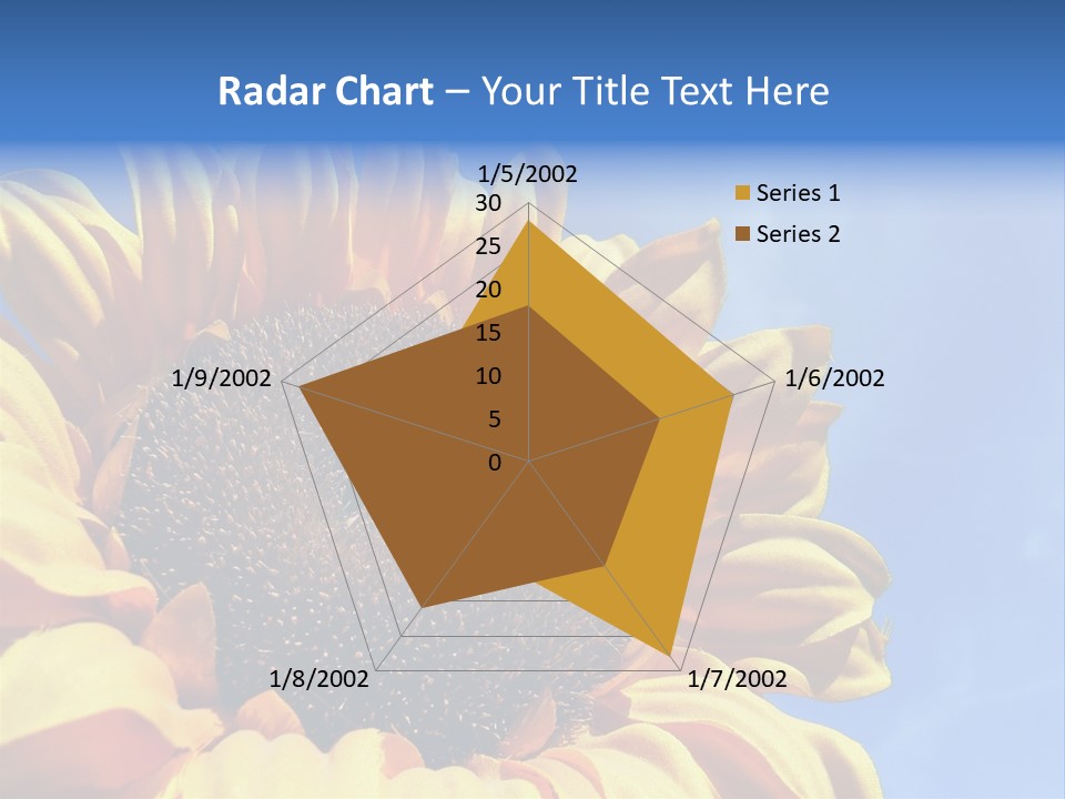 Nugget Petal Sunflower PowerPoint Template