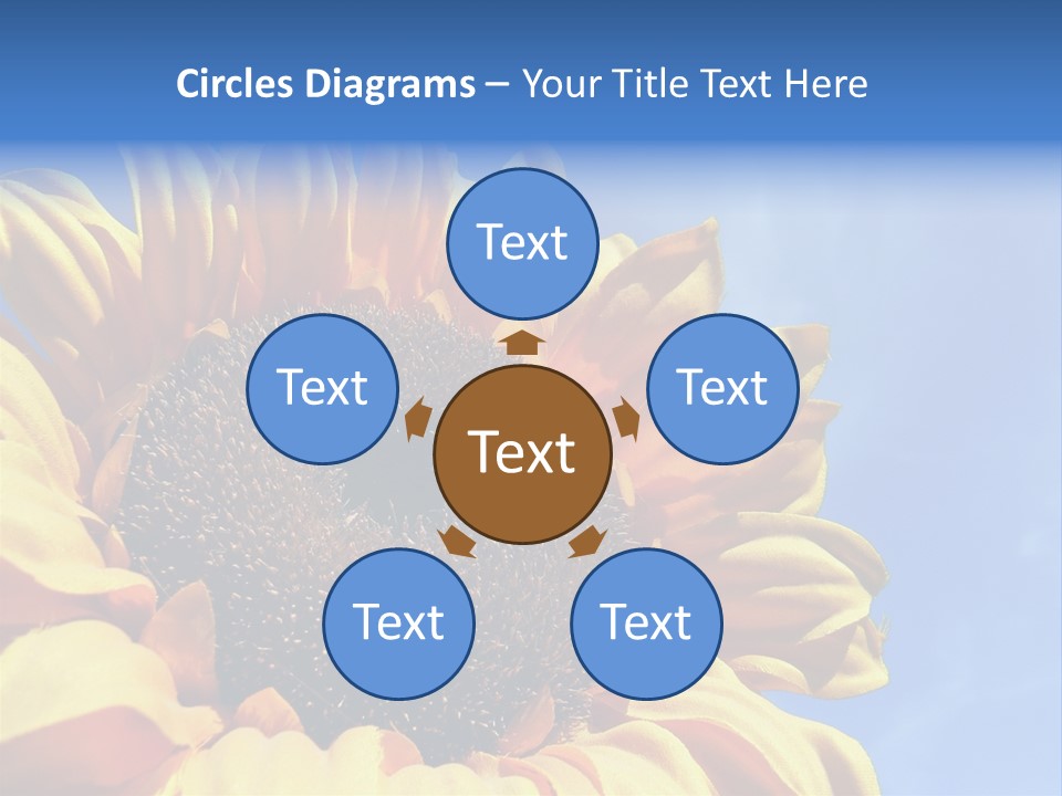 Nugget Petal Sunflower PowerPoint Template