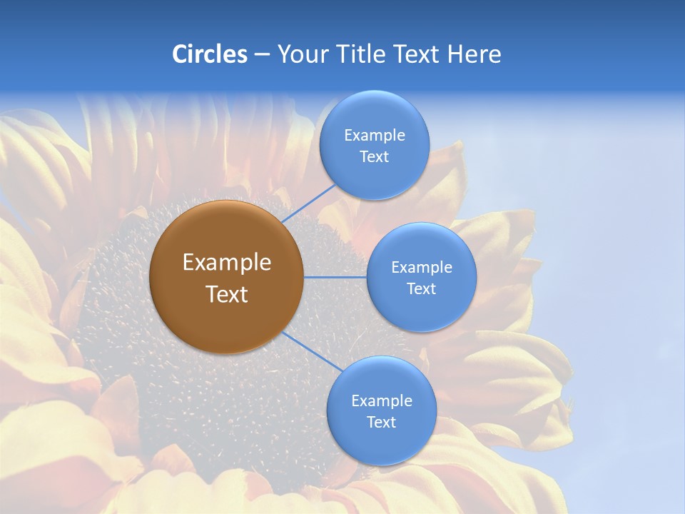 Nugget Petal Sunflower PowerPoint Template