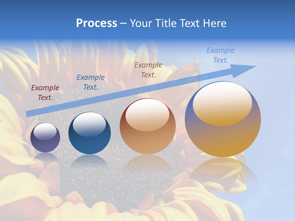 Nugget Petal Sunflower PowerPoint Template