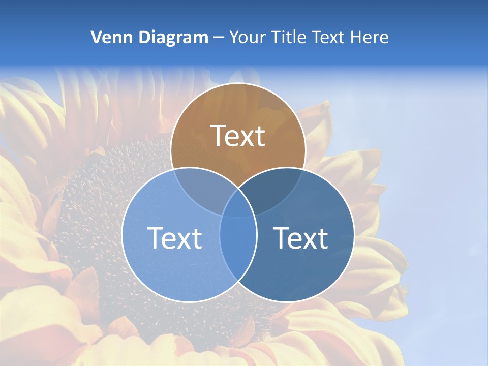 Nugget Petal Sunflower PowerPoint Template