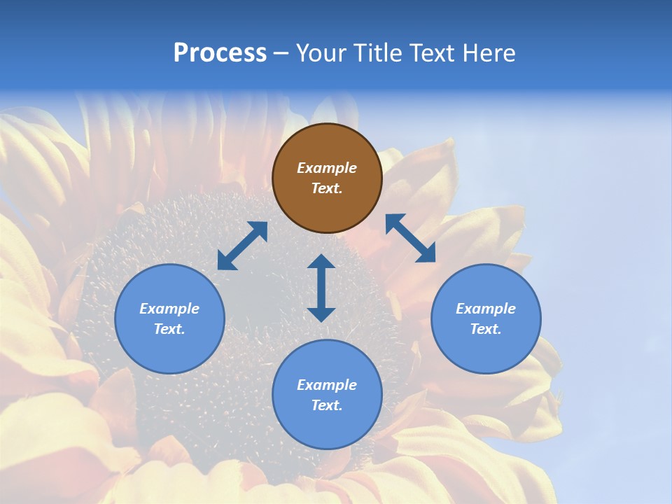 Nugget Petal Sunflower PowerPoint Template