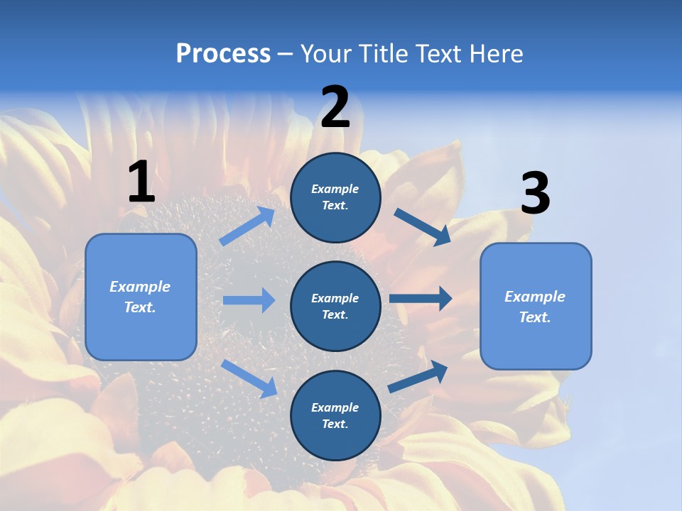 Nugget Petal Sunflower PowerPoint Template