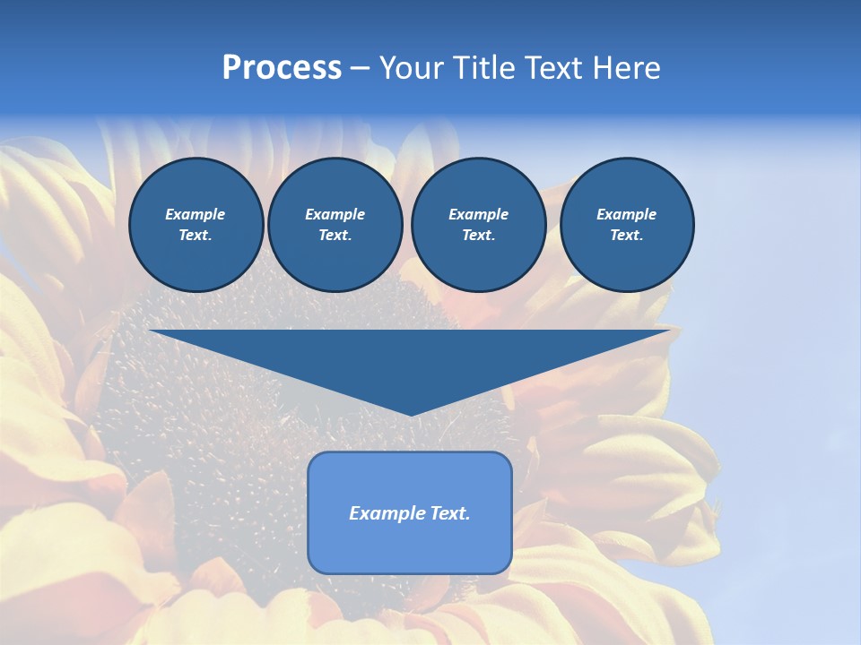 Nugget Petal Sunflower PowerPoint Template