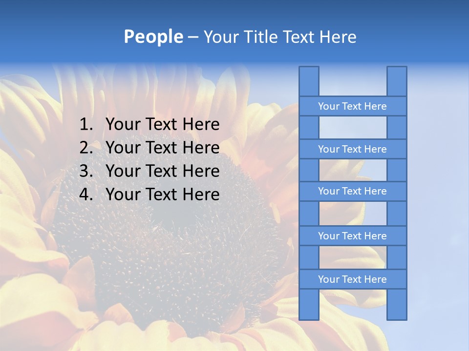 Nugget Petal Sunflower PowerPoint Template