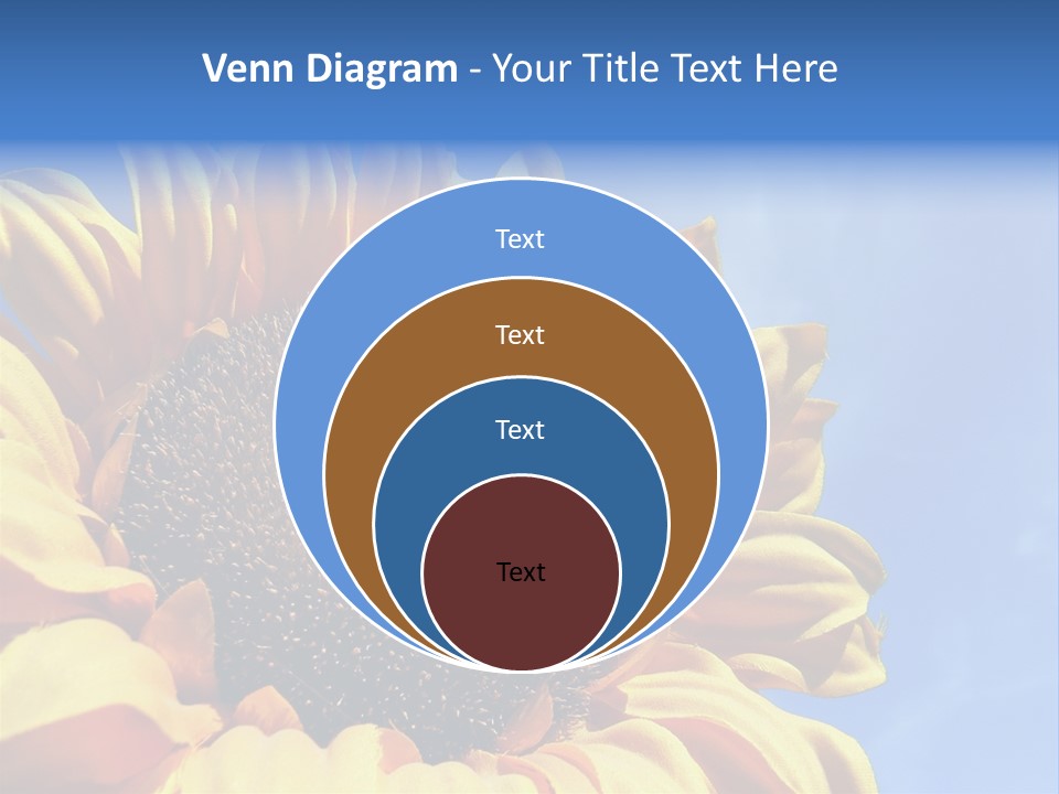 Nugget Petal Sunflower PowerPoint Template