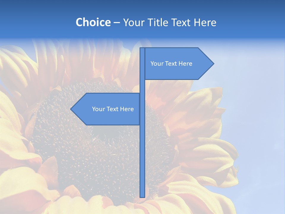 Nugget Petal Sunflower PowerPoint Template