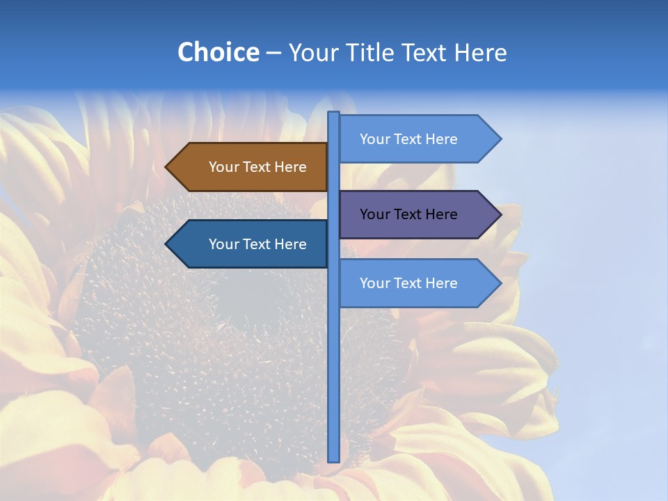 Nugget Petal Sunflower PowerPoint Template