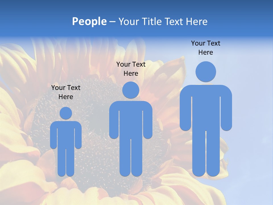 Nugget Petal Sunflower PowerPoint Template