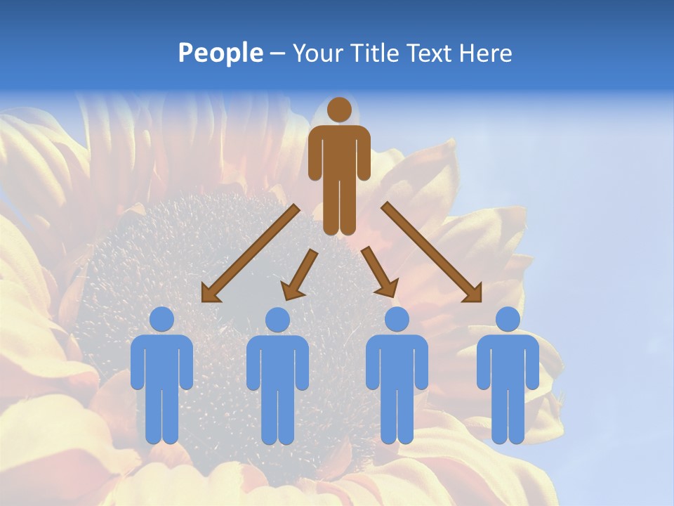 Nugget Petal Sunflower PowerPoint Template