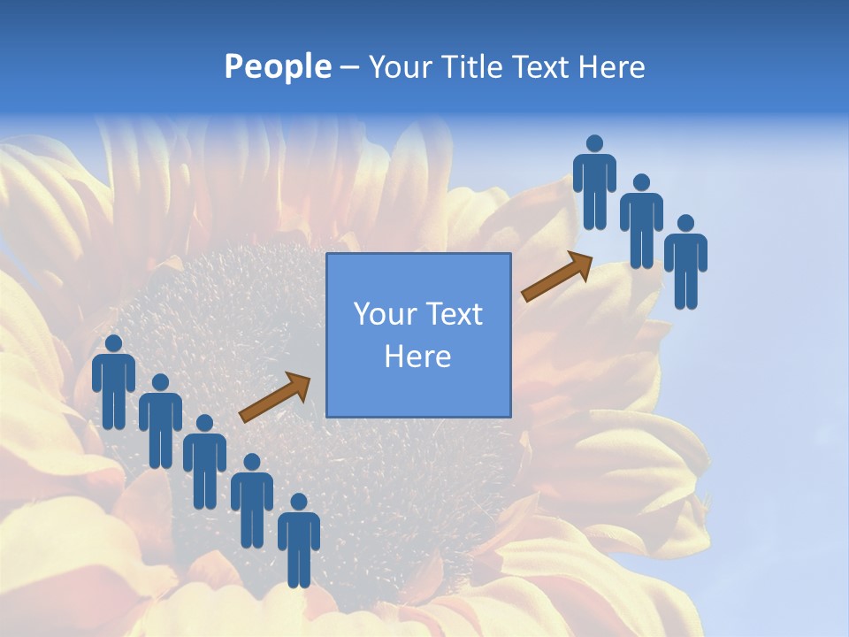 Nugget Petal Sunflower PowerPoint Template