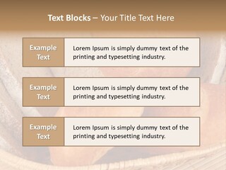 Roll Ham Breakfast PowerPoint Template