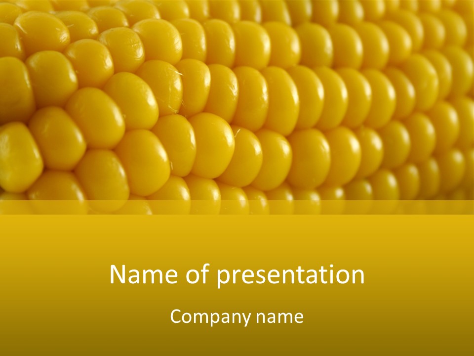 Flavour Nourishing Kernel PowerPoint Template