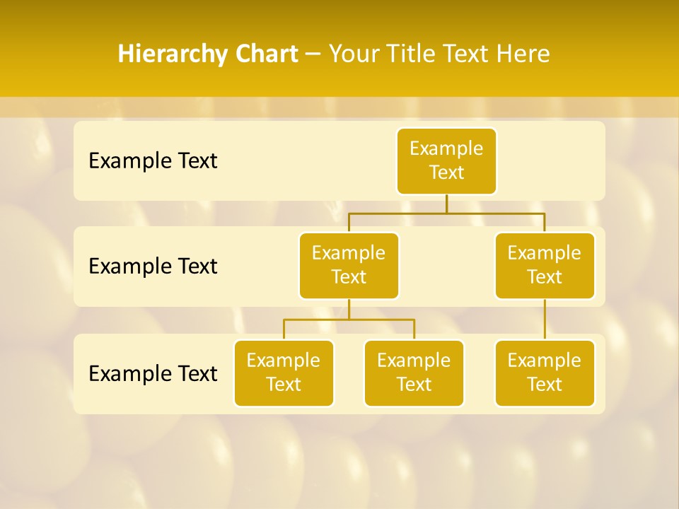 Flavour Nourishing Kernel PowerPoint Template