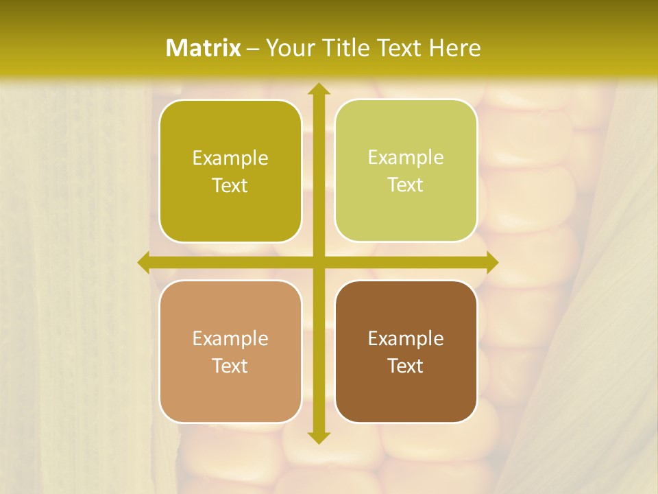 Colour Background Raw PowerPoint Template