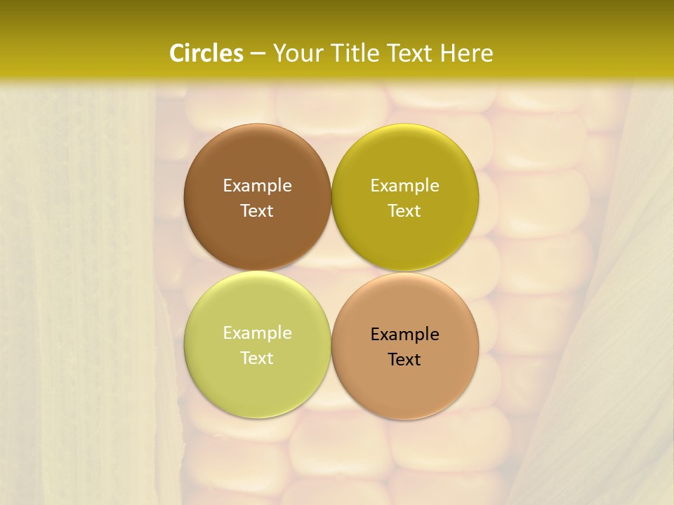 Colour Background Raw PowerPoint Template