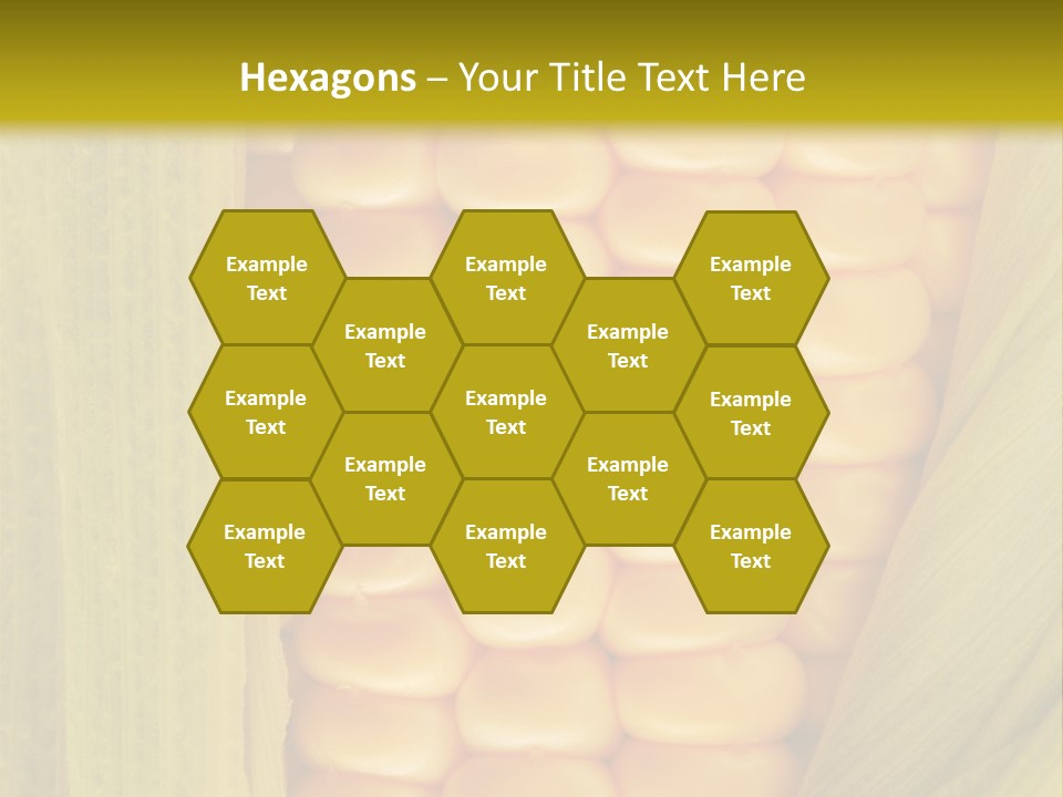 Colour Background Raw PowerPoint Template