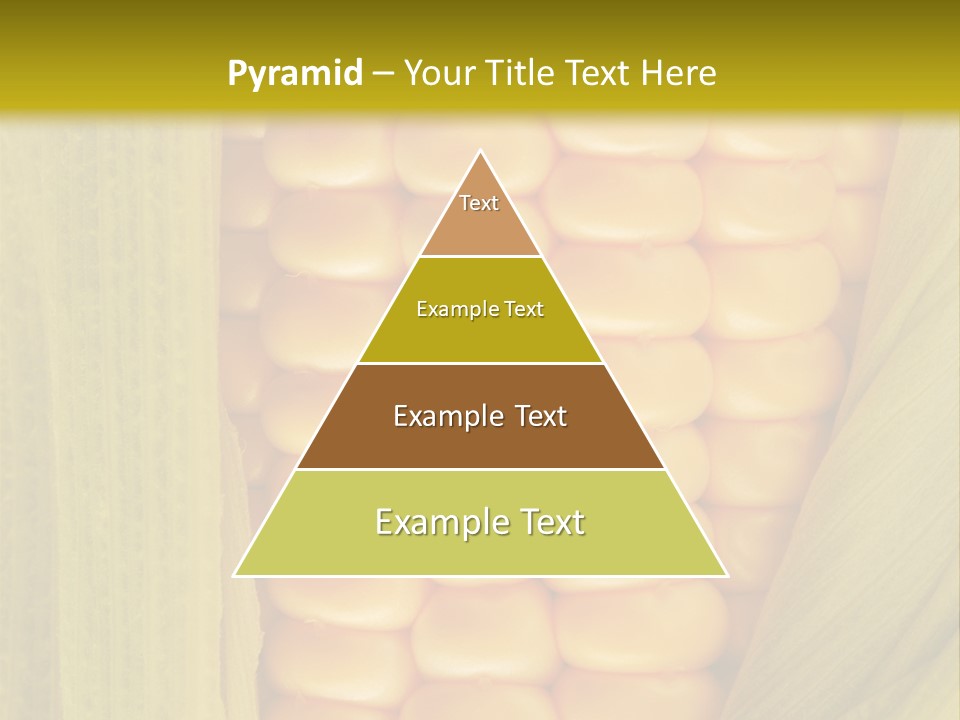 Colour Background Raw PowerPoint Template