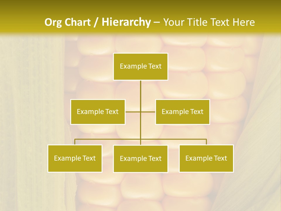 Colour Background Raw PowerPoint Template