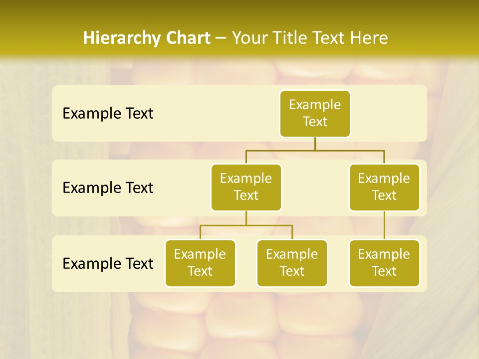 Colour Background Raw PowerPoint Template