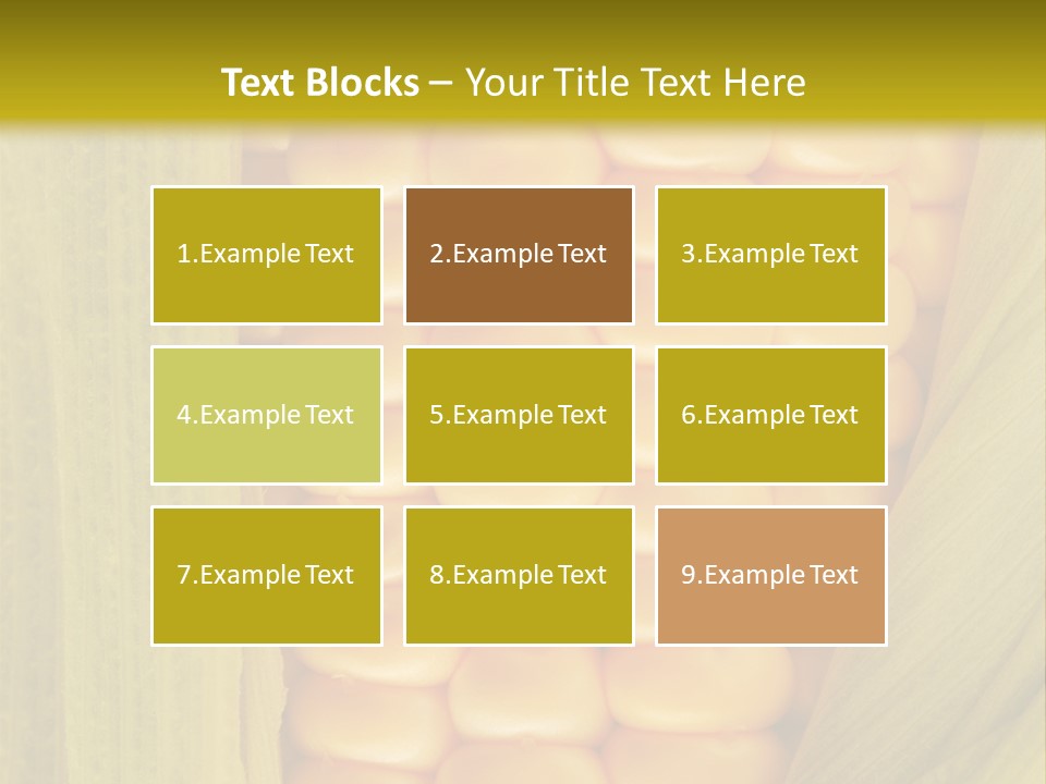 Colour Background Raw PowerPoint Template