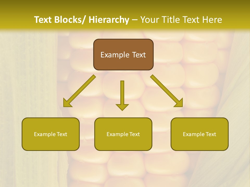 Colour Background Raw PowerPoint Template