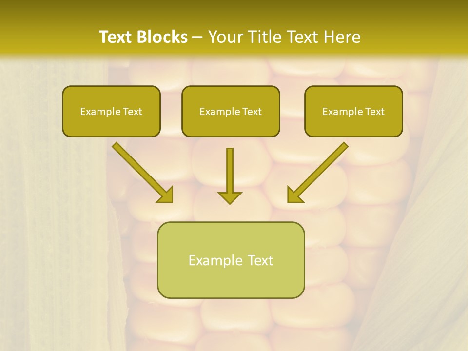 Colour Background Raw PowerPoint Template