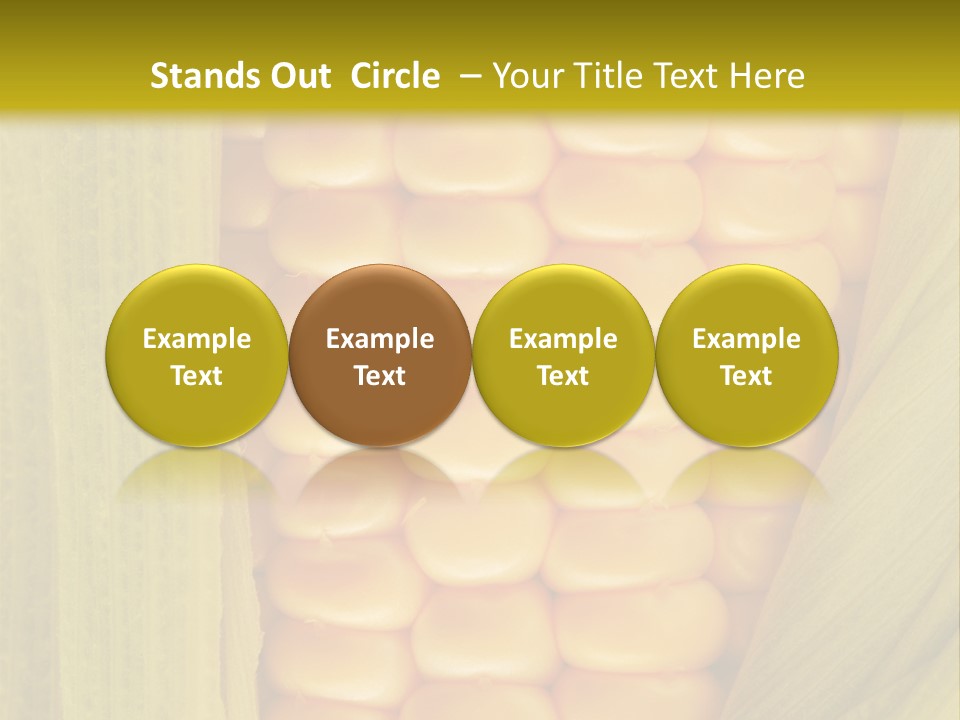 Colour Background Raw PowerPoint Template