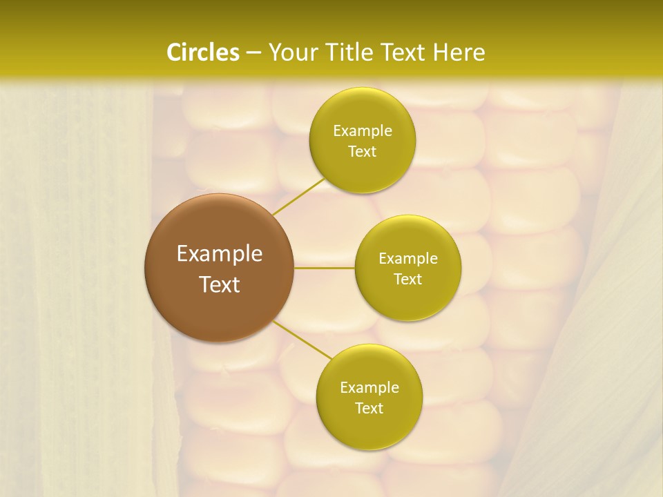 Colour Background Raw PowerPoint Template