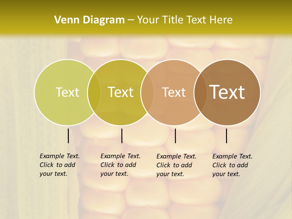 Colour Background Raw PowerPoint Template